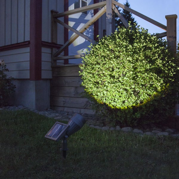 Dekorative Gartenleuchte mit einer Kugel aus Glas und einem Sockel in Blütenform aus Metall.