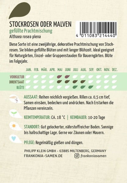 Samenpackung gefüllte Stockrosen oder Malven