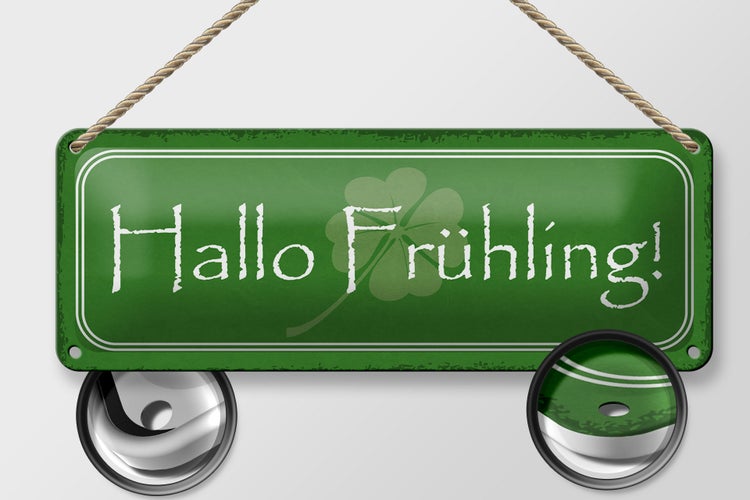 Blechschild Spruch 27x10cm Hallo Frühling Dekoration