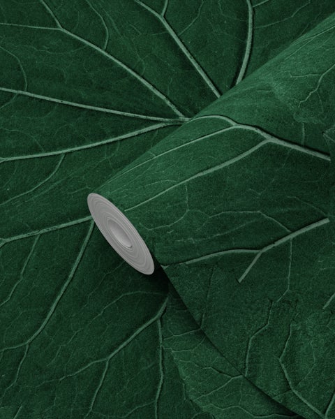 Rolle grüne Tapete mit Blätter-Muster