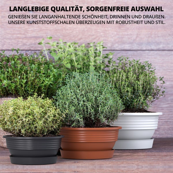 Robuste Kunststoffschalen mit Untersetzern für den Innen- und Außenbereich, langlebig und stilvoll für verschiedene Pflanzen.