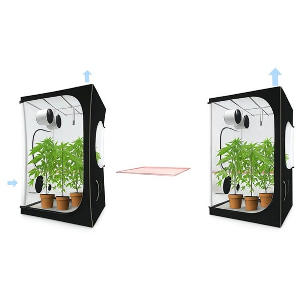 Indoor Growbox Setup mit zwei schwarzen Zelten mit Pflanzen, Belueftung mit Darstellung der Luftzirkulation und einer quadratischen Schale.