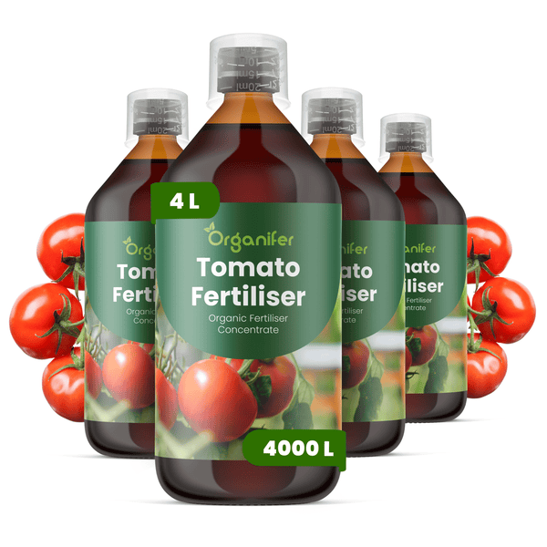 Vier Flaschen Organifer Tomatendünger, Bio-Dünger Konzentrat für circa 4000 Liter Wasser.