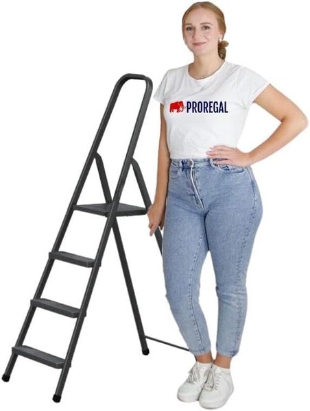 PROREGAL Stufenstehleiter Economy Basic Aus Hochleistungsstahl Einseitig Begehbar 4 Stufen Arbeitshöhe 2,75 m Traglast 125 kg Schwarz