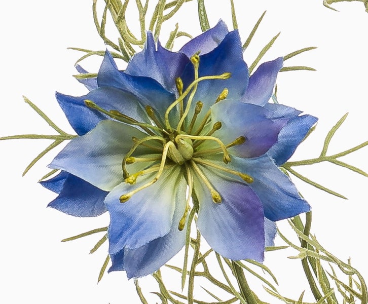 Kunstzweig Schwarzkümmel Jennie, blau, 70cm - Künstlicher Deko Zweig