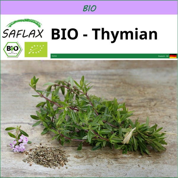 SAFLAX  - BIO - Thymian - Thymus vulgaris - 800 Samen