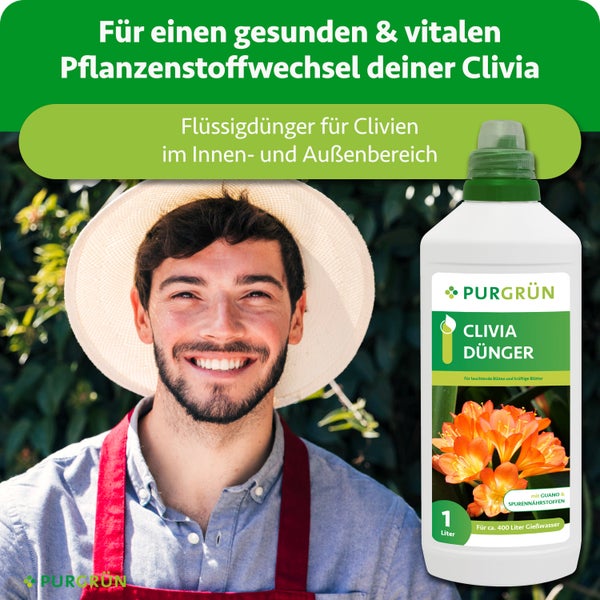 Ein lächelnder Gärtner neben einer 1 Liter Flasche Purgrün Clivia Dünger, Flüssigdünger für Clivien im Innen- und Außenbereich, Purgrün Logo.
