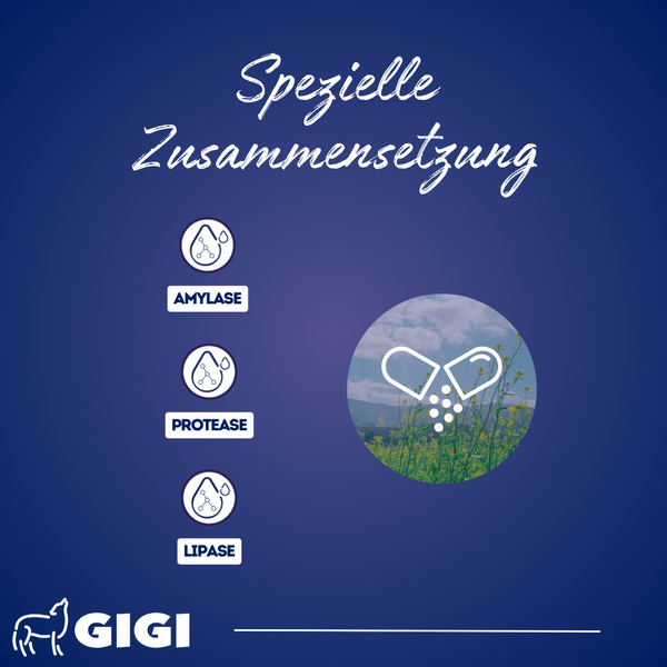 Spezielle Zusammensetzung mit Amylase, Protease, Lipase und GIGI Logo