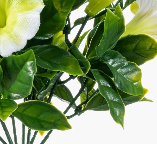 Nahaufnahme eines grünen Monstera-Blattes mit charakteristischen Schlitzen und Löchern.
