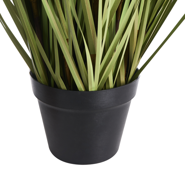 Künstliche Graspflanze in einem schwarzen Kunststoff-Blumentopf.