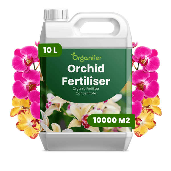 Organifer Orchideendünger, organisches Düngerkonzentrat im 10 Liter Kanister für bis zu 10000 Quadratmeter.