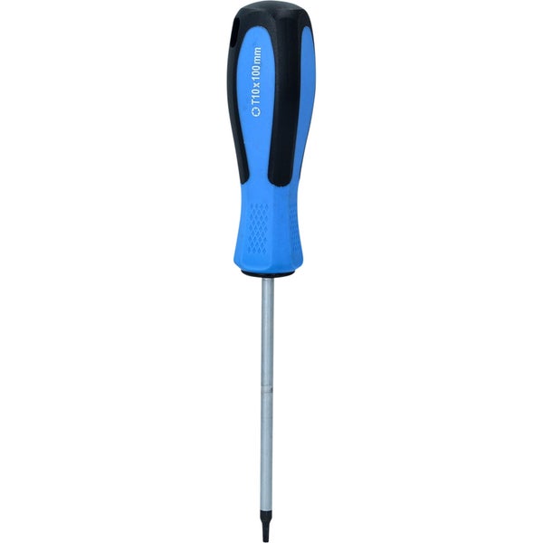 BRILLIANT TOOLS Schraubendreher TORX T10 x 100 mm - BT031043