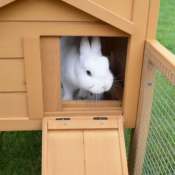 Weißes Kaninchen blickt aus einem Kleintierstall aus Holz mit Rampe.