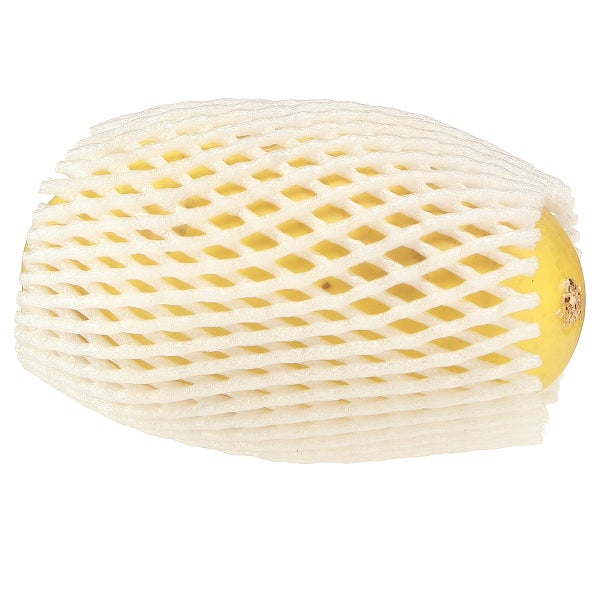 Gelbe Honigmelone mit Schutznetz