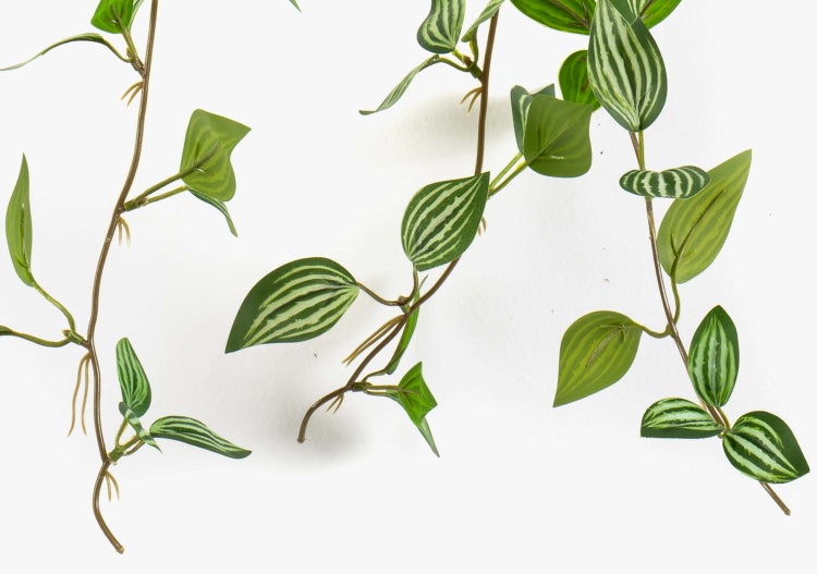 Künstliche Pflanzenwand mit verschiedenen grünen Kunstpflanzen und Blattformen.