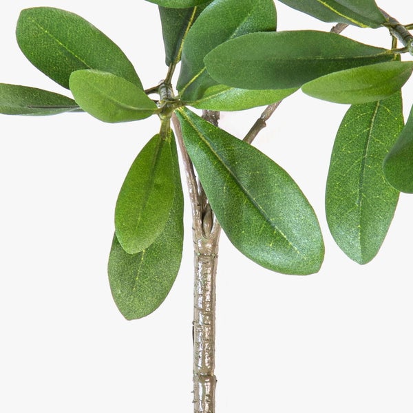 Künstlicher Pittosporumzweig mit grünen Blättern aus Kunststoff für Dekorationen.