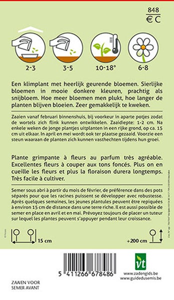 Informationen zur Aussaat von Kletterpflanzen