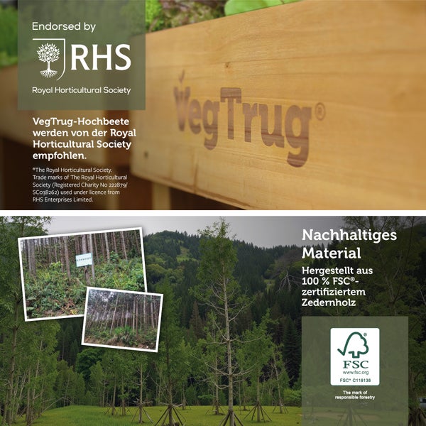VegTrug Logo, Royal Horticultural Society Logo und FSC Logo auf einem Hinweis zu Hochbeeten aus 100 Prozent zertifiziertem Zedernholz.