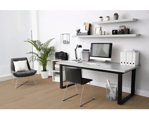 Büro mit Schreibtisch, Stuhl, Regalen und Zimmerpflanze