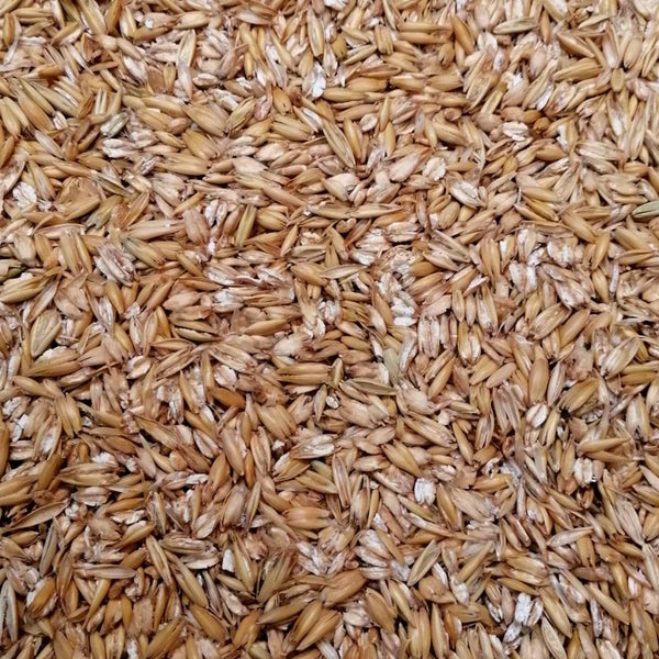 Nahaufnahme von Saatgut für Rasenpflege