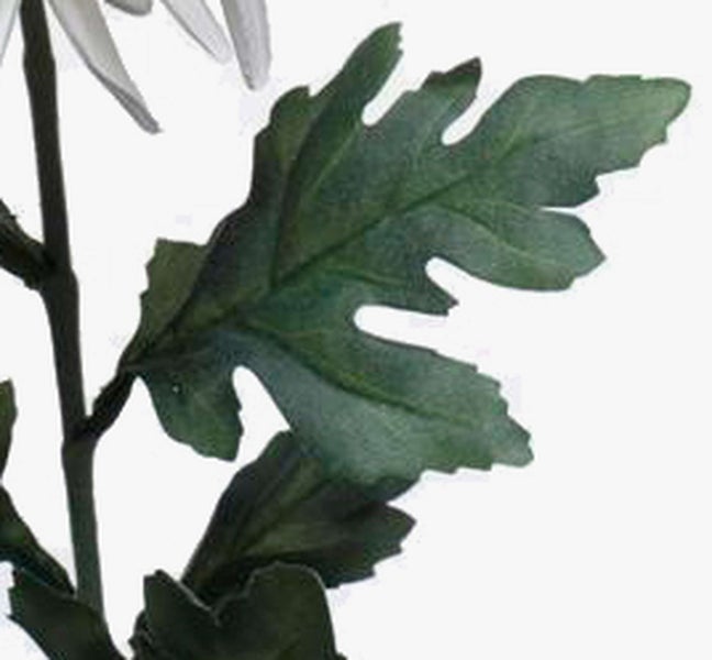 Nahaufnahme eines grünen, gelappten Blattes am Stiel einer Kunstblume.