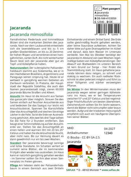 SAFLAX Garden to go - Jacaranda - Jacaranda mimosifolia - 50 Samen - Mit Topf, Klima - Deckel und Anzuchtsubstrat