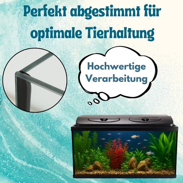 Aquarium mit Pflanzen und Fischen