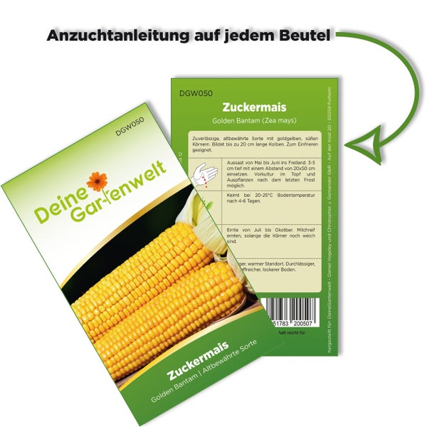 Vorder- und Rückansicht eines Samenbeutels für Zuckermais Golden Bantam von Deine Gartenwelt mit Hinweistext zur Anzuchtanleitung.