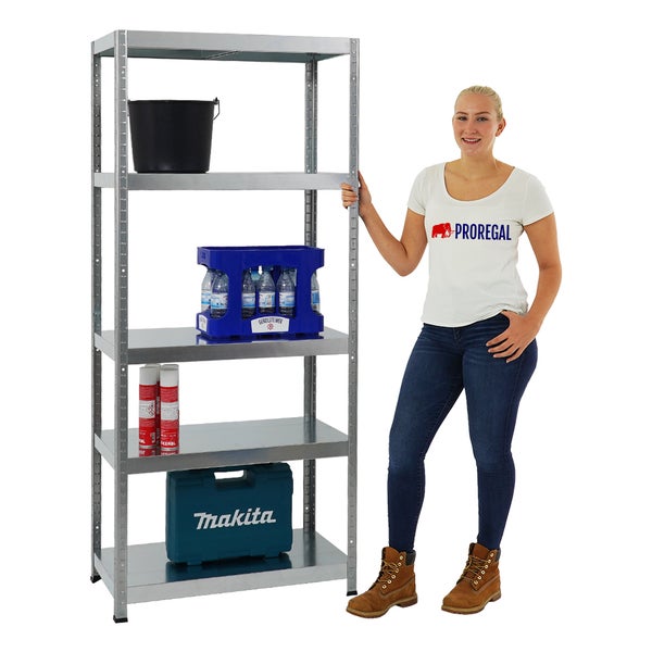 PROREGAL Schwerlastregal Steel Eagle HxBxT 180 x 80 x 40 cm Fachlast 130 kg Verzinkt