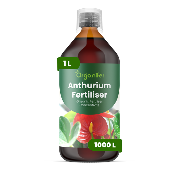 Organifer Orchideendünger, organisches Flüssigdünger Konzentrat, 1 Liter Flasche.