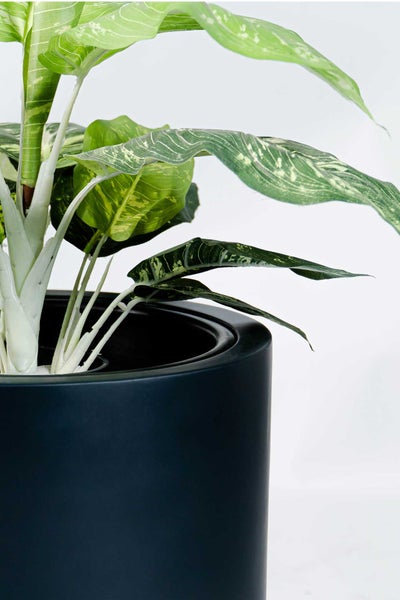 Detailansicht einer künstlichen Dieffenbachia in einem runden dunklen Pflanztopf.