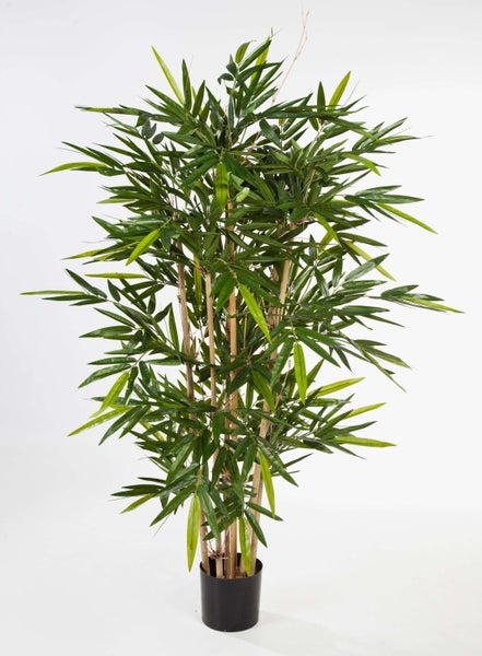Künstlicher Bambus im schwarzen Kunststofftopf mit naturgetreuen Halmen und dichten grünen Blättern.