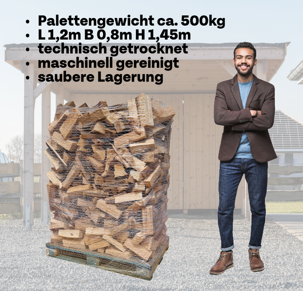 Kaminholz/Brennholz - Buche - auf Palette gebündelt ofenfertig - technisch getrocknet und gereinigt