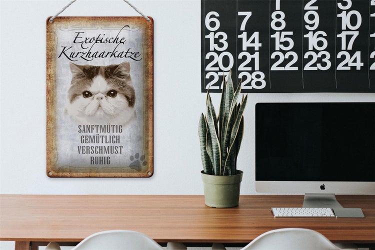 Blechschild Spruch 20x30cm exotische Kurzhaarkatze Katze