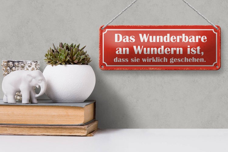 Blechschild Spruch 27x10cm das Wunderbare an Wundern ist Dekoration