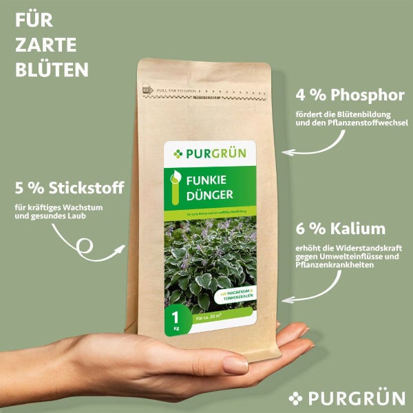 Purgrün Funkie-Dünger 1 kg