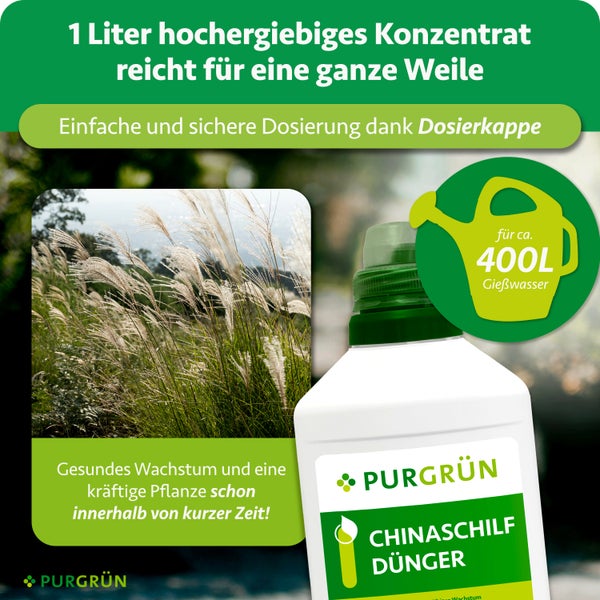 Purgrün Chinaschilf Dünger Konzentrat 1 Liter für circa 400 Liter Gießwasser, inklusive Dosierkappe für gesundes Pflanzenwachstum.