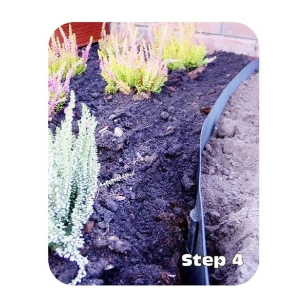 Beetbegrenzung aus Kunststoff im Garten mit Heidekraut bepflanzt, Schritt 4
