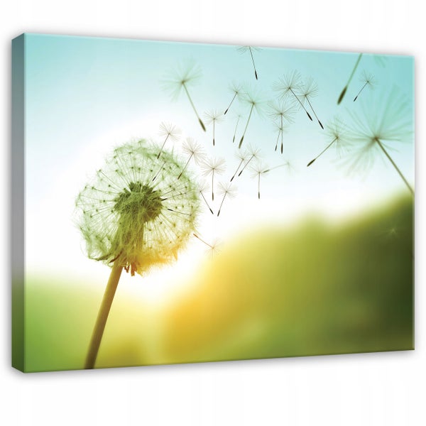 Wandbild Leinwand Pusteblume mit wegfliegenden Samen bei Sonnenuntergang
