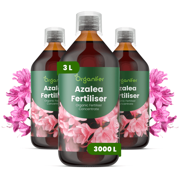 Drei Flaschen Organifer Azaleendünger, organisches Düngerkonzentrat, 3 Liter.