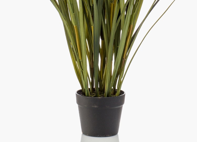 Künstliche Graspflanze im schwarzen Topf mit braunen Blütenähren