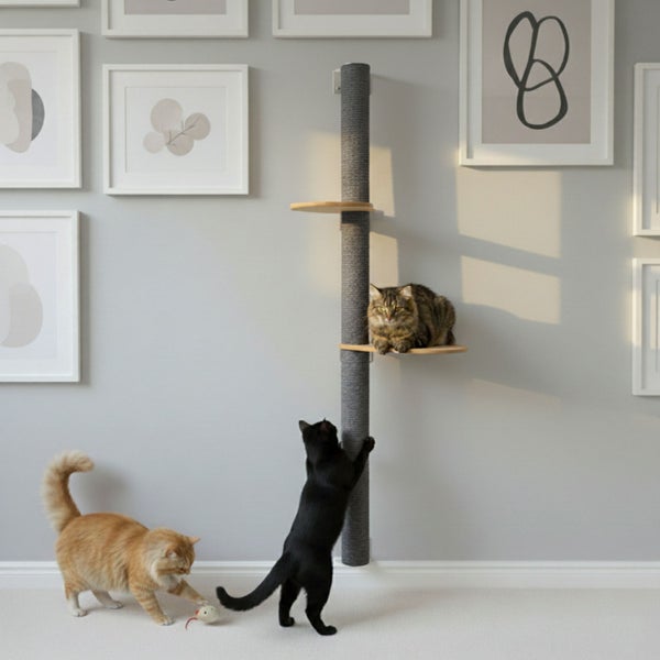 Wandkratzbaum mit Sisalsäule und zwei Liegeplattformen aus Holz zur Montage an der Wand in einem Wohnraum mit drei Katzen.