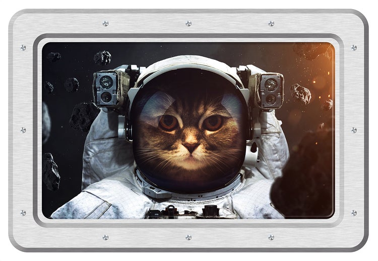 Sanders und Sanders Wandtattoo Katze Braun und Hellgrau - 65 x 42.5 cm - 600324