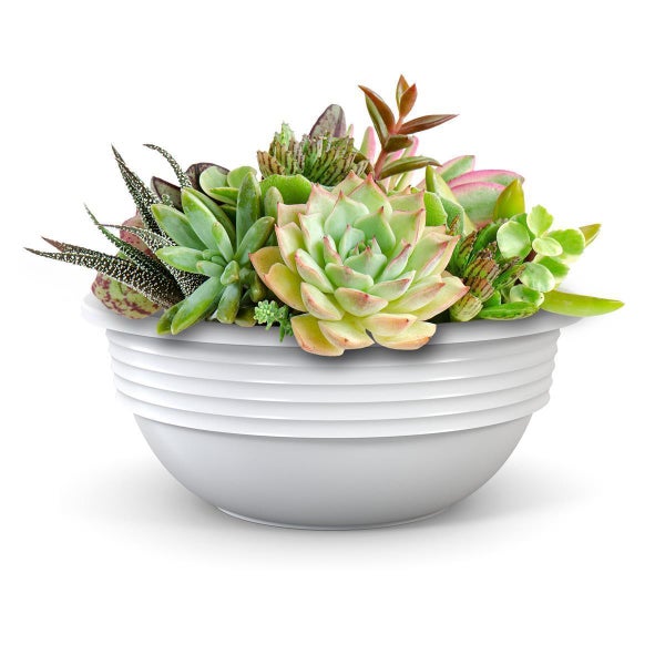 Plastard Blumenschale Weiss Ø 40 cm Pflanzschale Schale
