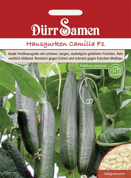 Dürr Samen Logo auf Samentüte für Hausgurken Camilla F1, Abbildung langer Gurken an der Pflanze, Ansicht der Samen und Symbol für Treibhauseignung.
