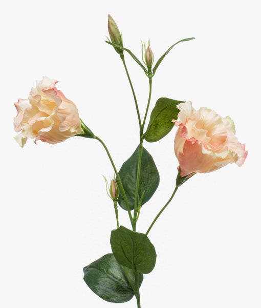 Künstliche Lisianthus Blüte in Gelb und Rosa mit gewellten Blütenblättern und grünen Blättern.