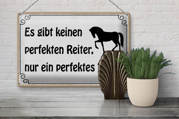 Blechschild Spruch 30x20cm es gibt keinen perfekten Reiter