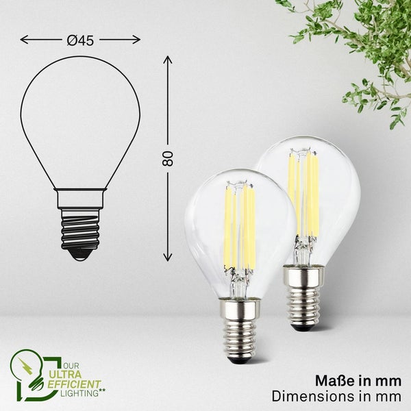 Kissenkiefer im Garten mit anderen Pflanzen