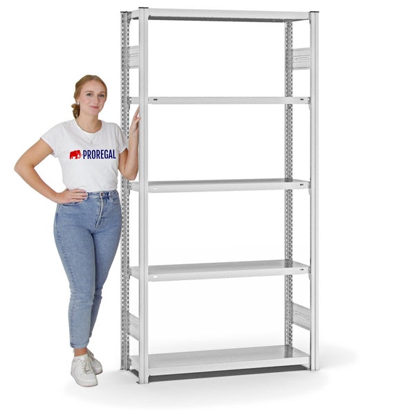 PROREGAL Fachbodenregal Stecksystem T-Profil Light-Duty Grundregal HxBxT 200 x 100 x 30 cm 5 Ebenen Fachlast 150 kg Beidseitig Nutzbar Lichtgrau