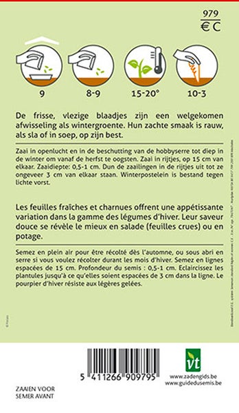 Informationen und Anweisungen zur Aussaat von Saatgut